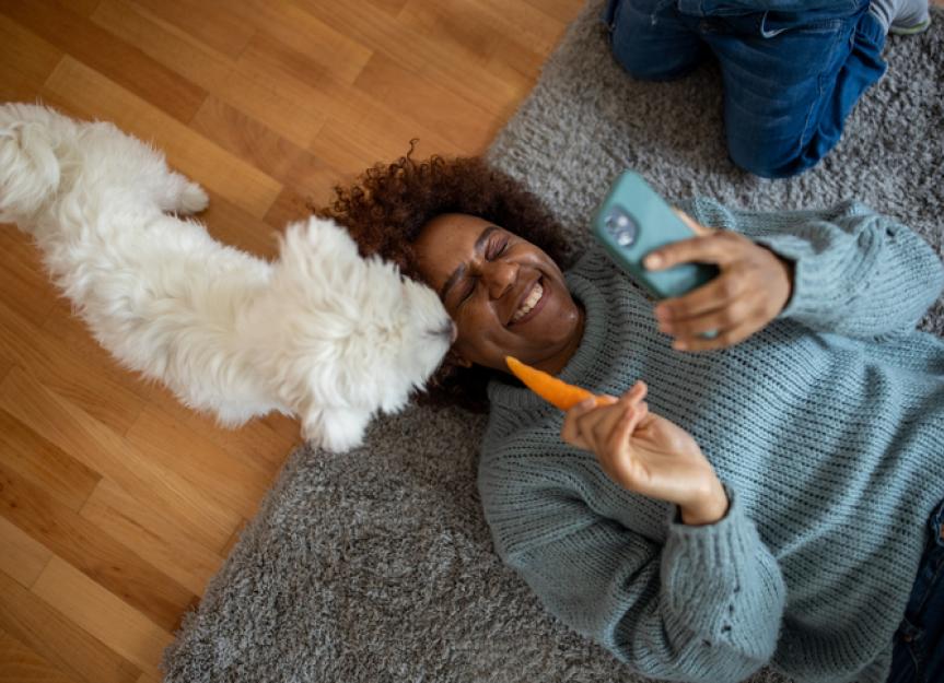 Can Dogs Eat Carrots? PetMD