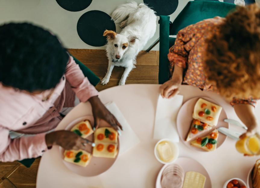 Can Dogs Eat Butter? | PetMD - Safe Apple Butter Alternatives For Dogs