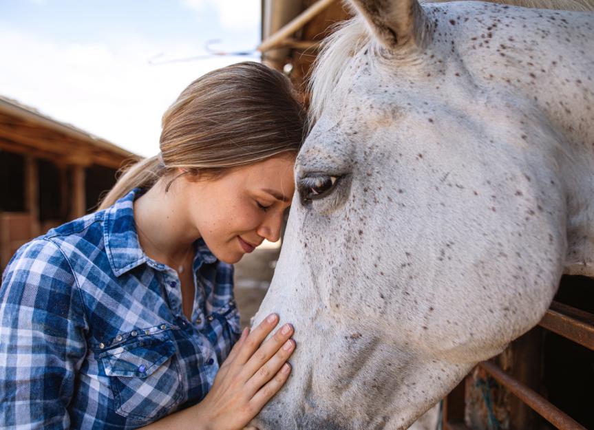 How to Read a Horse's Body Language PetMD