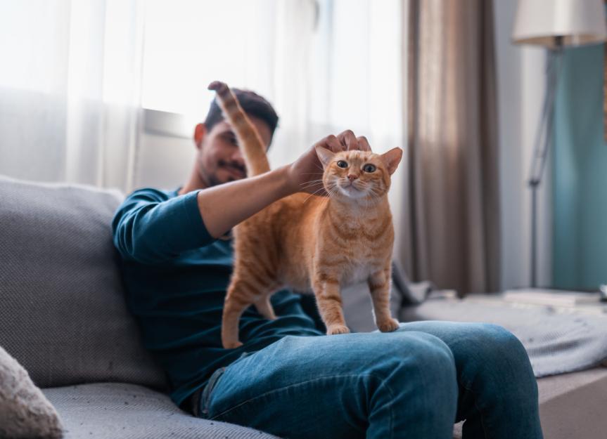 How Long Do Cats Live? PetMD