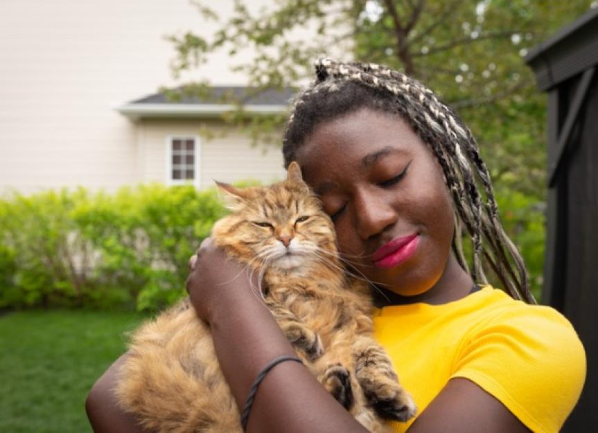 Cat Euthanasia When to Put a Cat Down PetMD