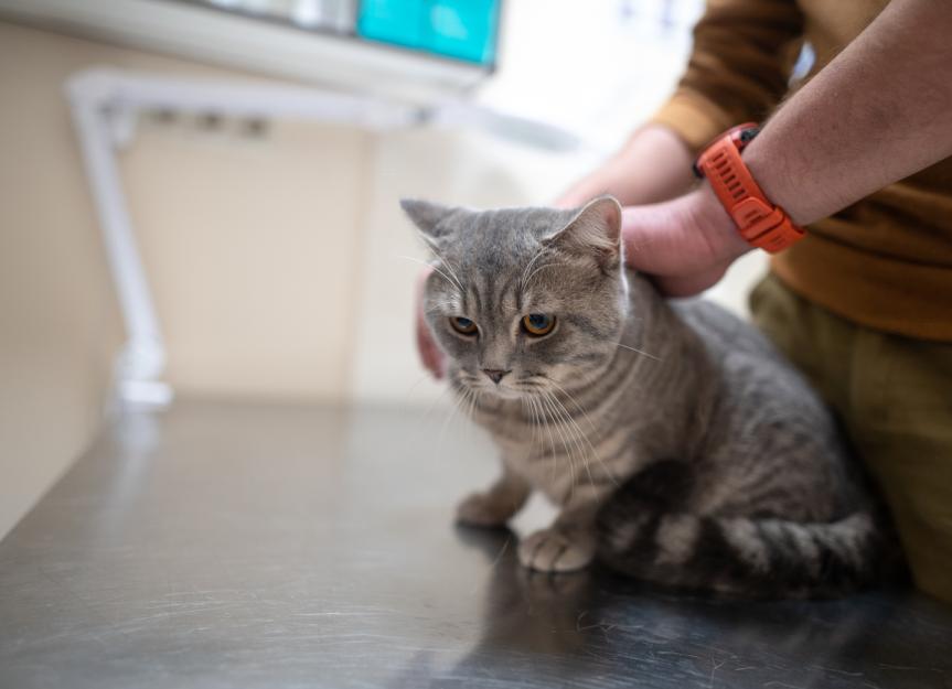 低体温は血糖値に影響しますか?