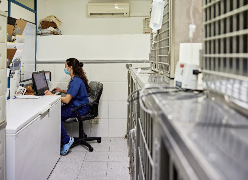 Pourquoi les équipes vétérinaires ont besoin d’un soutien en santé mentale