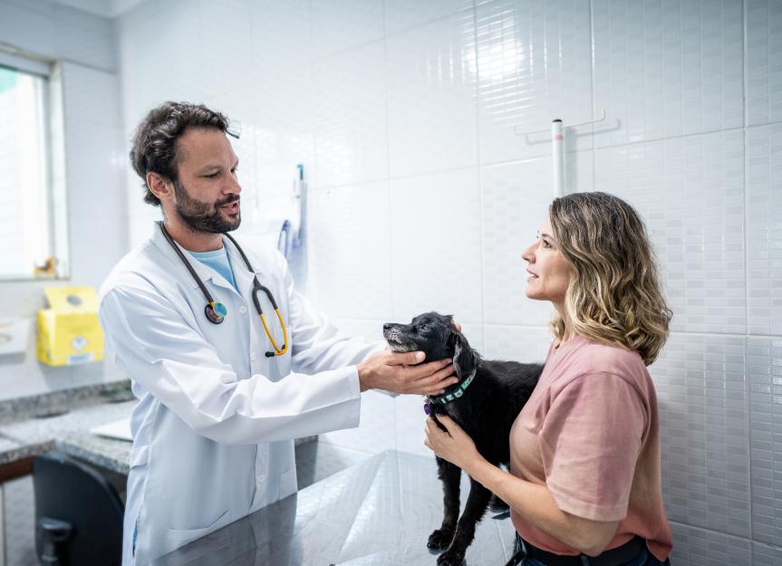 6 Things to Ask Your Vet About Early Detection of Cancer in Your Pet