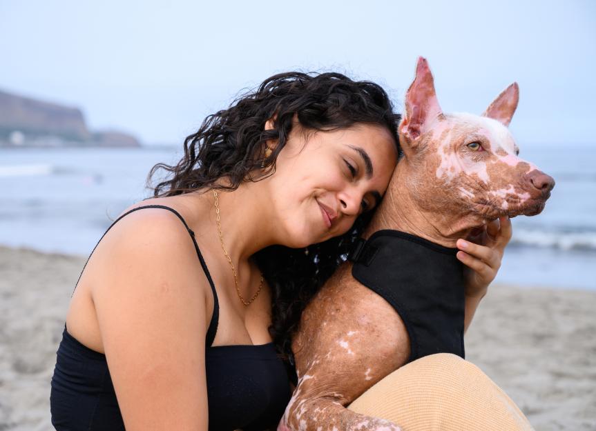 Vitiligo in dogs: causes and symptoms