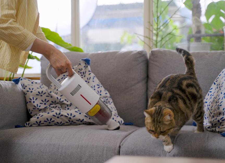 Why are cats afraid of vacuum cleaners?