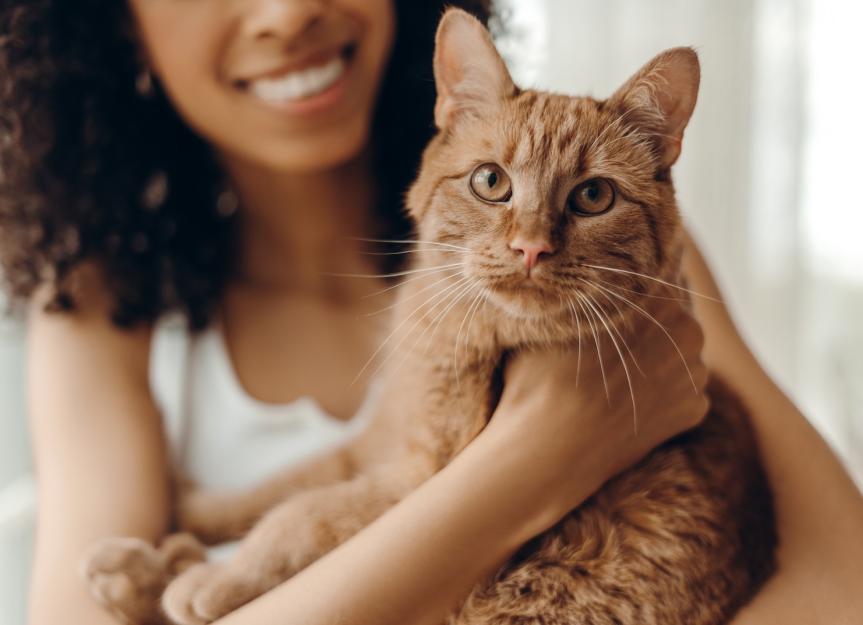 Why do cats blink slowly?