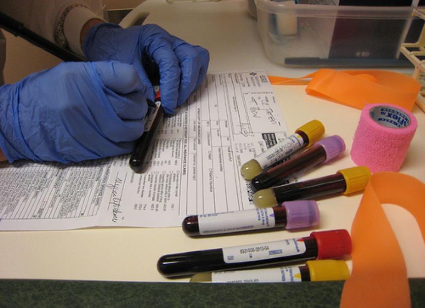 Reading the Blood Chemistry Panel: An Art and Science | PetMD