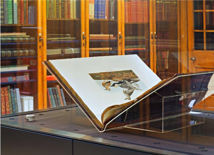 约翰·詹姆斯·奥杜邦的《美国鸟类》一书的第一版以965万美元的价格售出