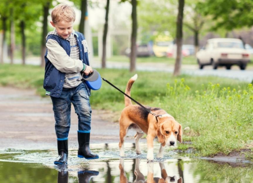 Können Hunde Kinder Verantwortung lehren?