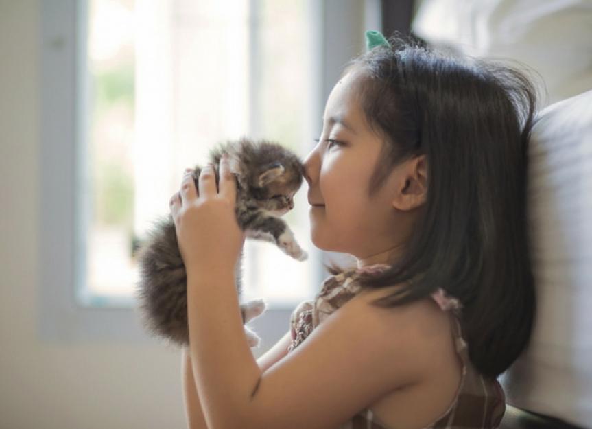 Kids and Cats: Responsibility by Age