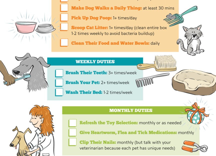 Pet Care Checklist for Responsible Pet Parents