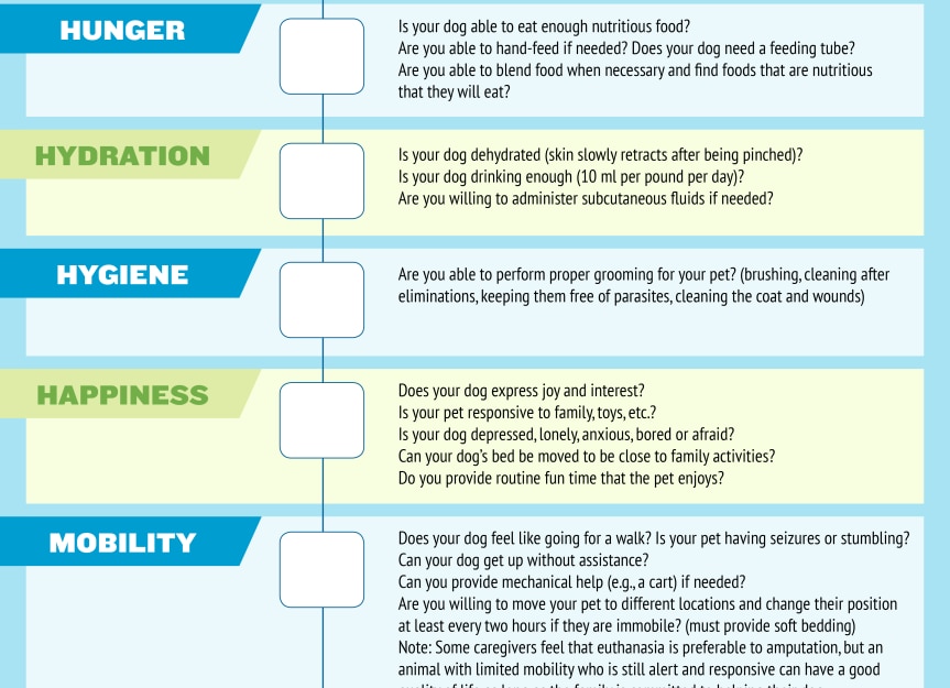 Infographic Use This Quality Of Life Scale To Decide When To Put Your   Quality Of Life Scale For Dogs Infographic 0 