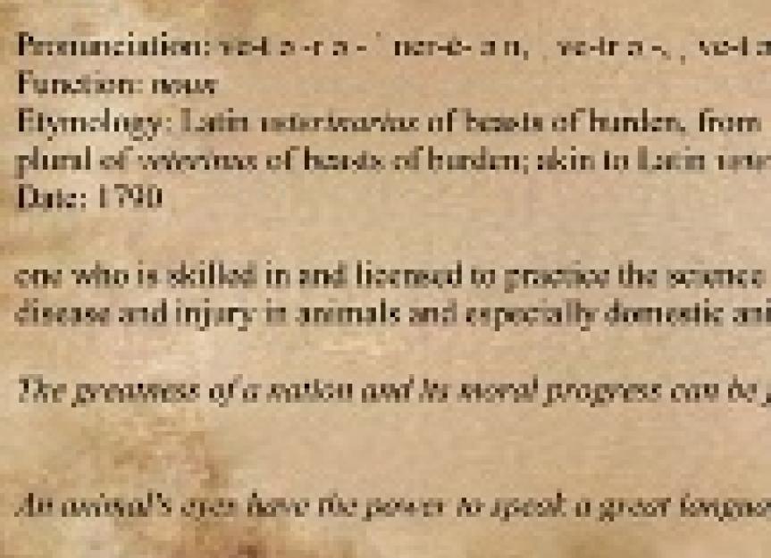 How to Properly Pronounce Veterinarian PetMD