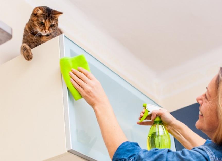 Green Cleaning Products That Are Safe for Pets