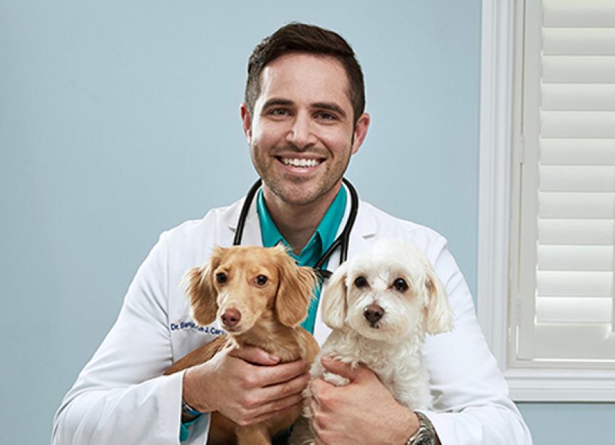 Your Pet Health Questions Answered by Dr. Ben Carter