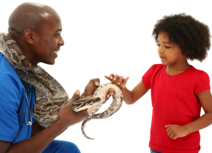 Kann Ihr Reptil eine Bindung zu Ihnen aufbauen?