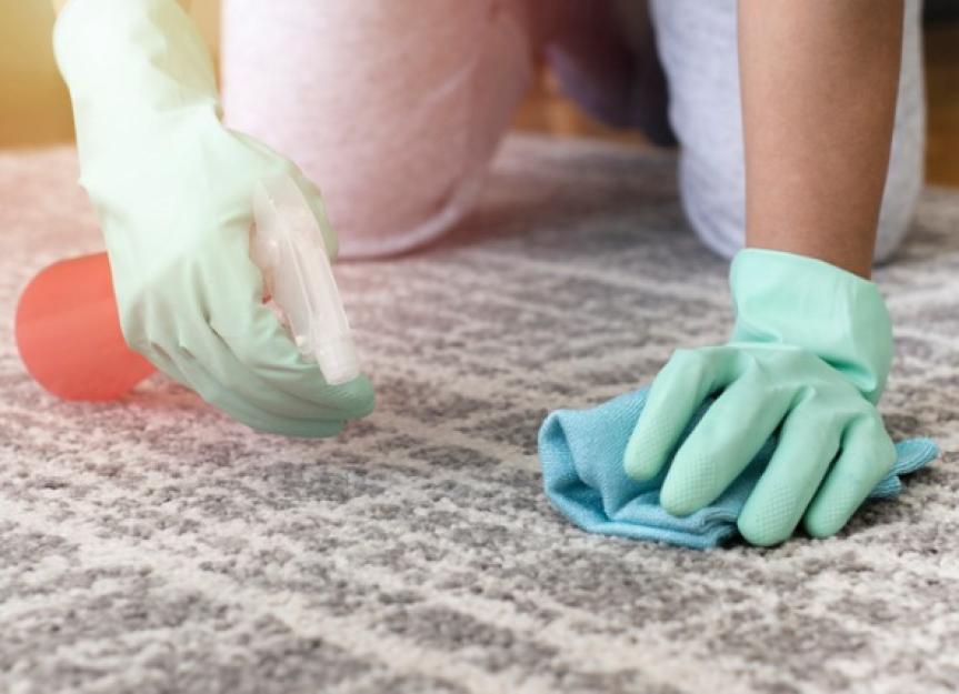 How to Get Rid of Dog Pee Smell From Carpet, Hardwood Floors, and Rugs ...