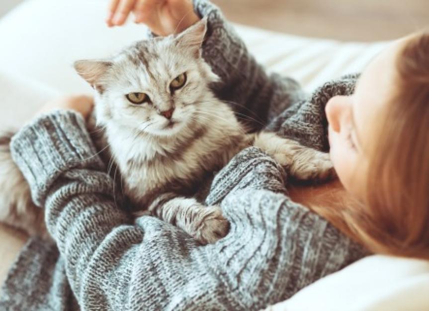 Cat Dander: 8 Things You Didn’t Know