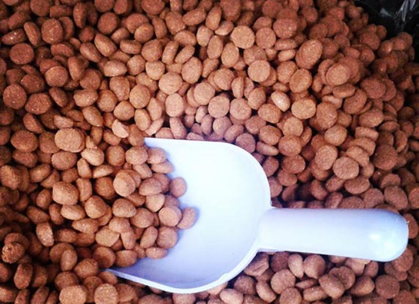 The Best Way to Keep Your Pet Food Fresh PetMD