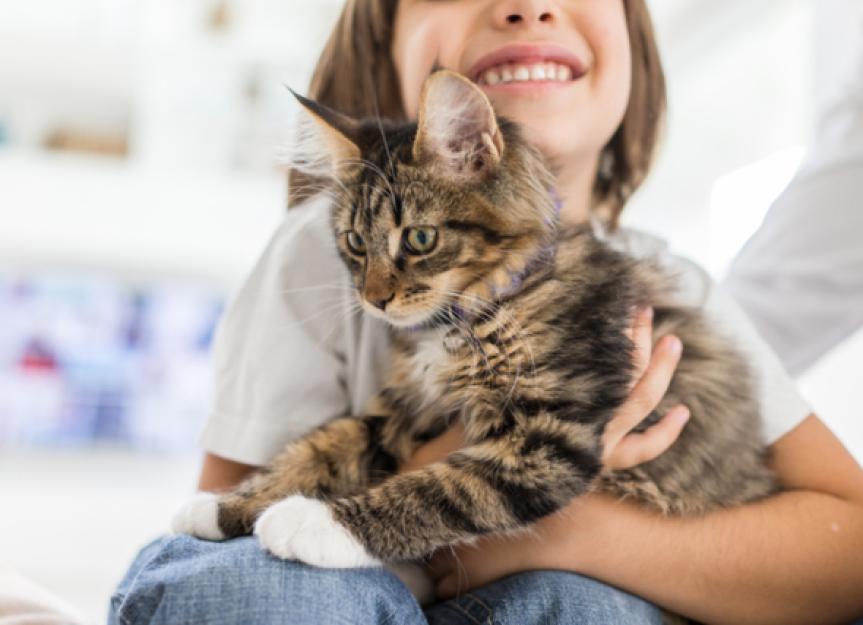 和猫一起长大的孩子能预防哮喘吗?