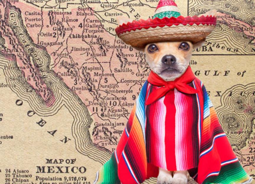 26 How To Pronounce Speculation 02/2024 Ôn Thi HSG