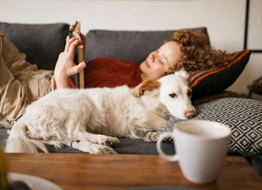 Emotional Support Animals: Which Animals Qualify and How to Register Your  ESA | PetMD