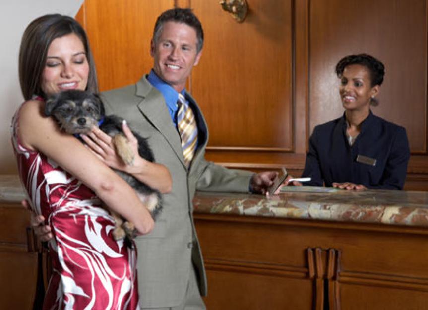 The Truth About Pet-Friendly Hotels