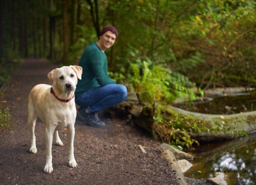 Does Your Dog Need a Lyme Vaccine? PetMD