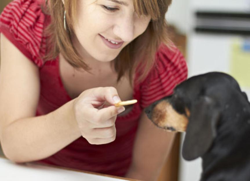 Healthy Ways to Treat Your Dog