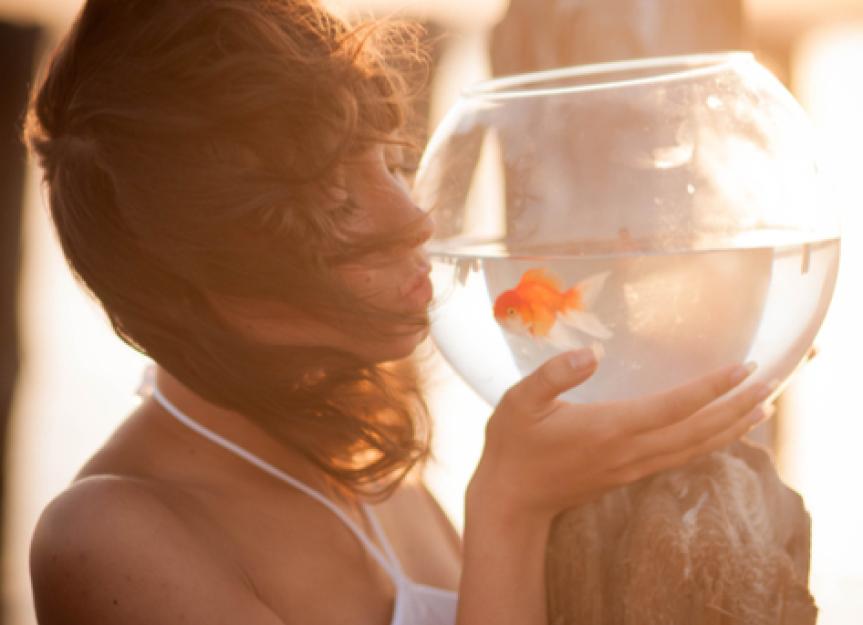 Are Fish Losing Popularity as Pets Because Selfies Are Difficult?