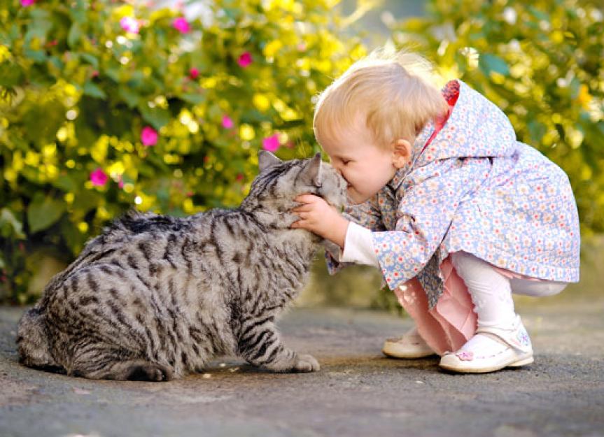 Top 3 Gründe, warum Katzen wie Kinder sind
