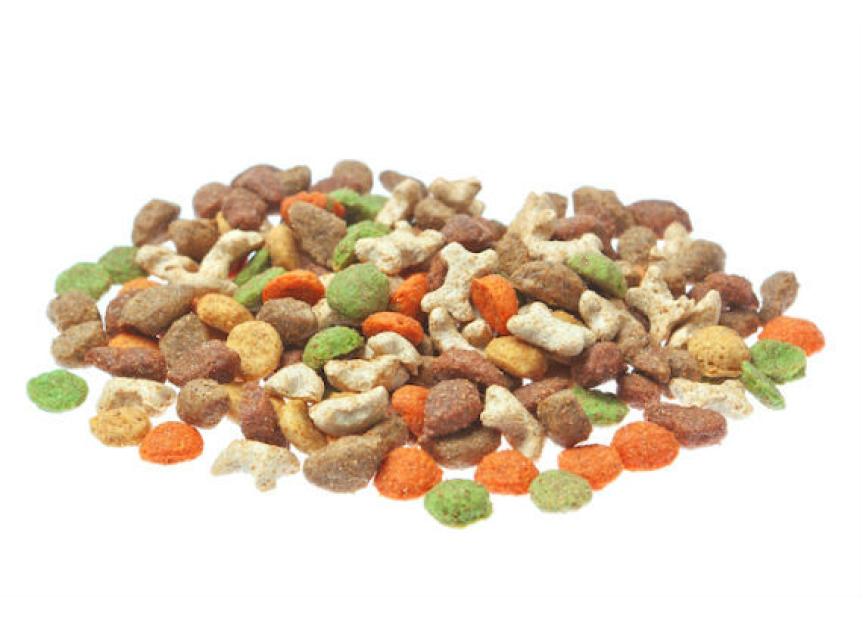 Pet Food Recalls and Safety