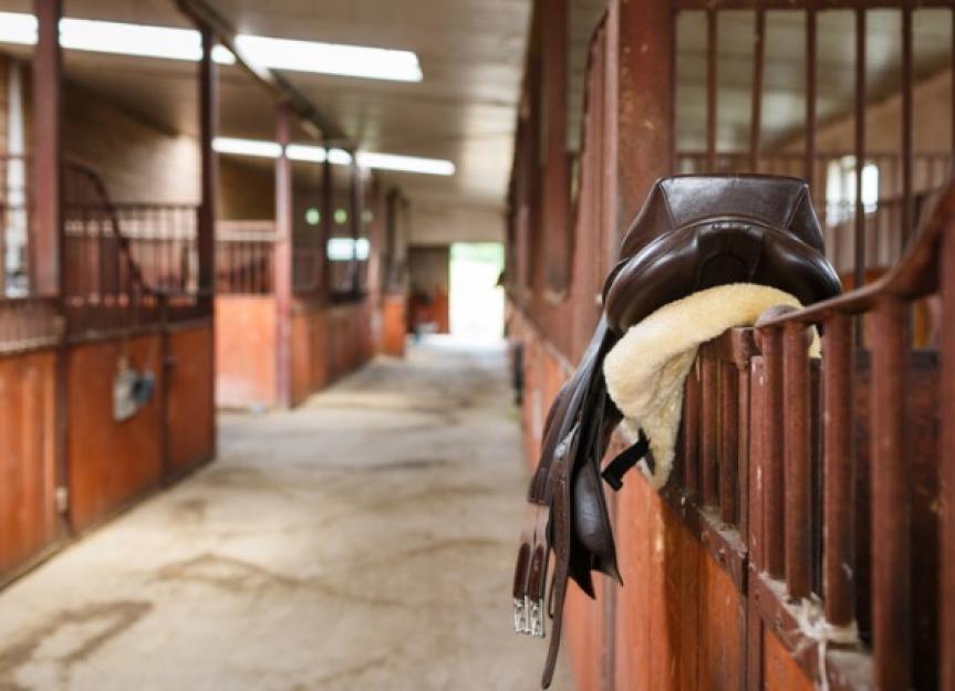 How to Keep Your Horse Tack Clean