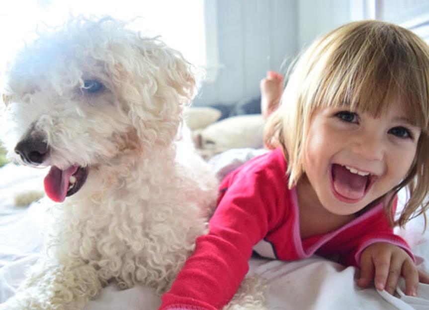Worried About Allergies in Your Kids? Get a Pet
