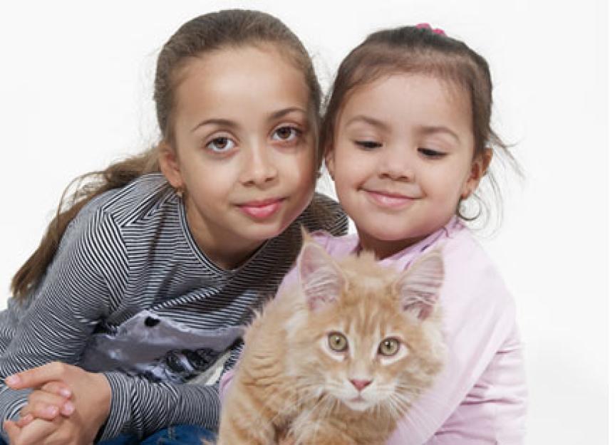 缅因猫和孩子:一个伟大的组合