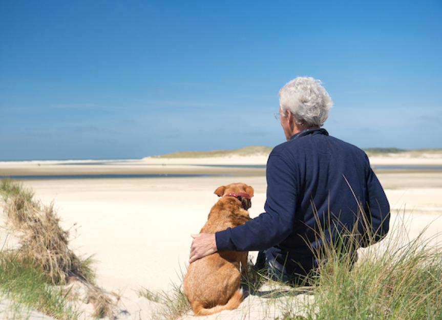Longer Lives Can Mean More Illness For Pets