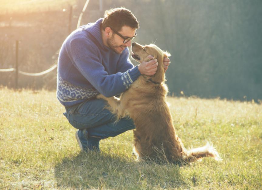 Pet Myths: Are Dogs Really Man's Best Friend? | PetMD