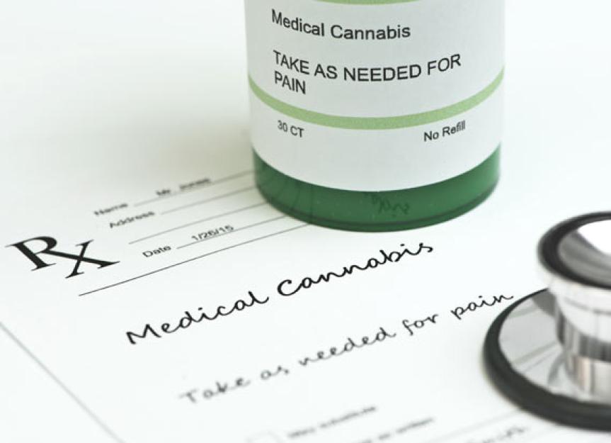 How Much Do We Know About Medical Marijuana for Pets?