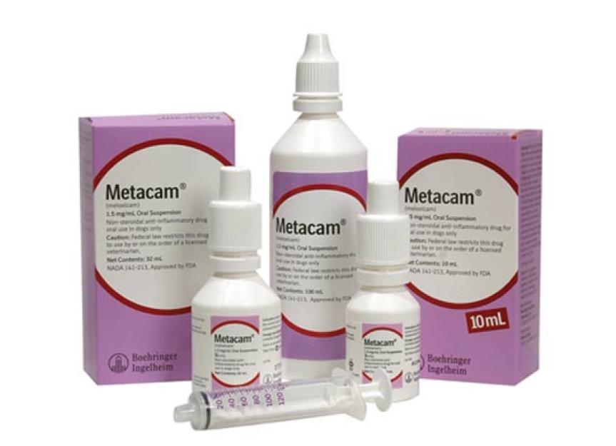 Revisiting Meloxicam Use in Cats