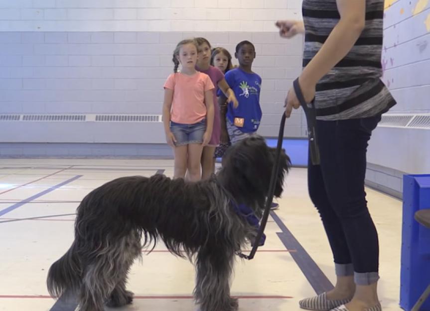 Montreal Kids Get Schooled on Dog Behavior by Fuzzy Mentors