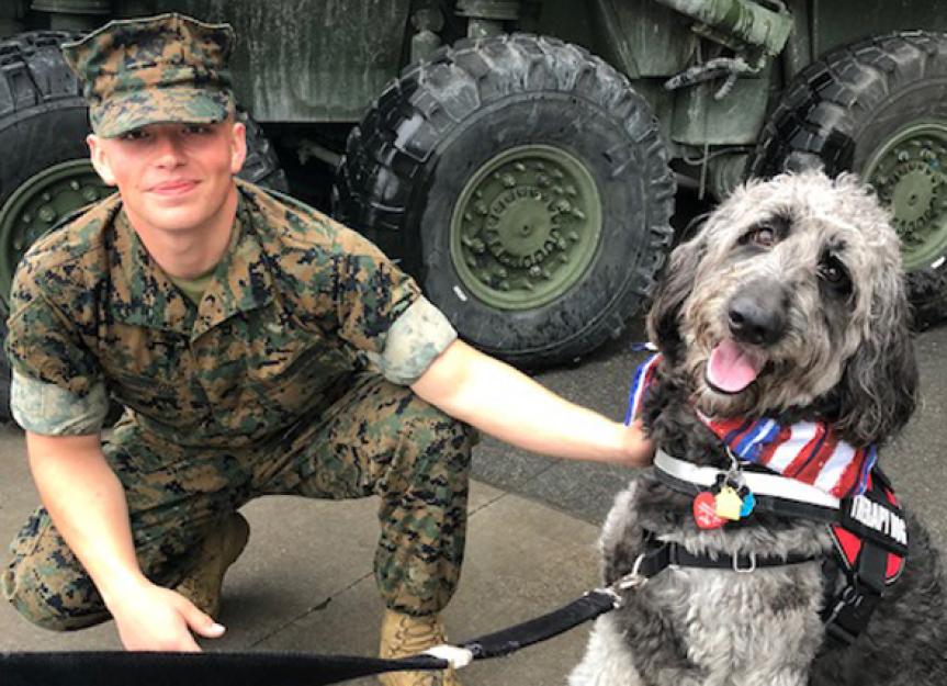 Therapy Dogs at Hudson Valley Paws for a Cause Offer Stress Relief for the Military and Their Families