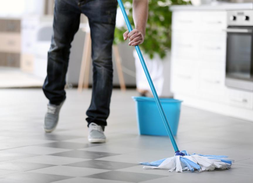 Bleach Poisoning in Pets What You Should Know PetMD