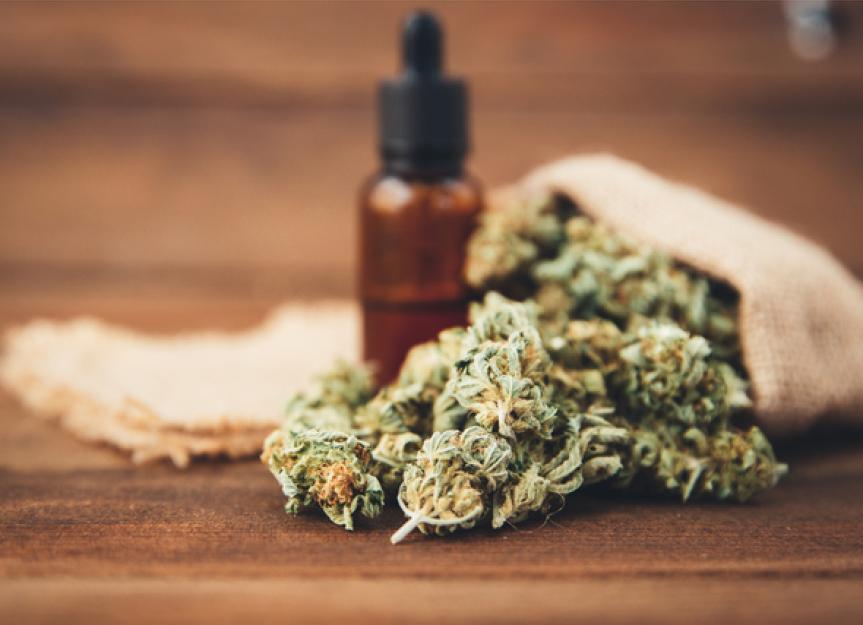 Cannabis Oil for Dogs: Everything You Need to Know | PetMD