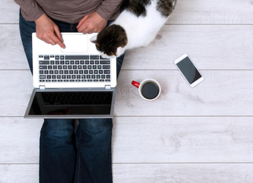 Cats on Keyboards: Why They Love Them (and What You Can Do)
