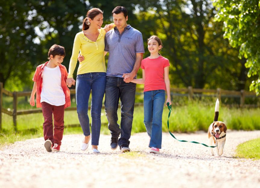 Estate Planning for Pets: Why You Should Do It