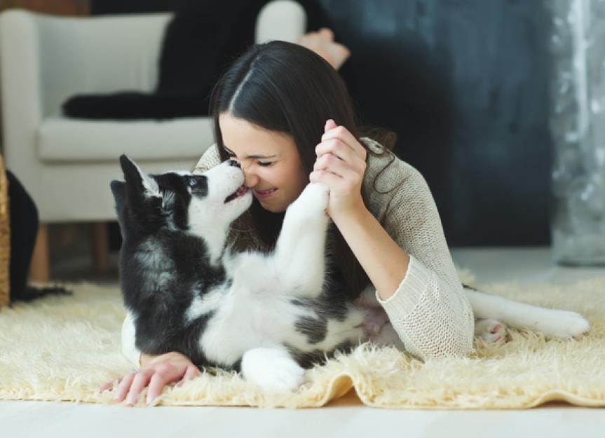 Is It Normal to Talk to Pets?