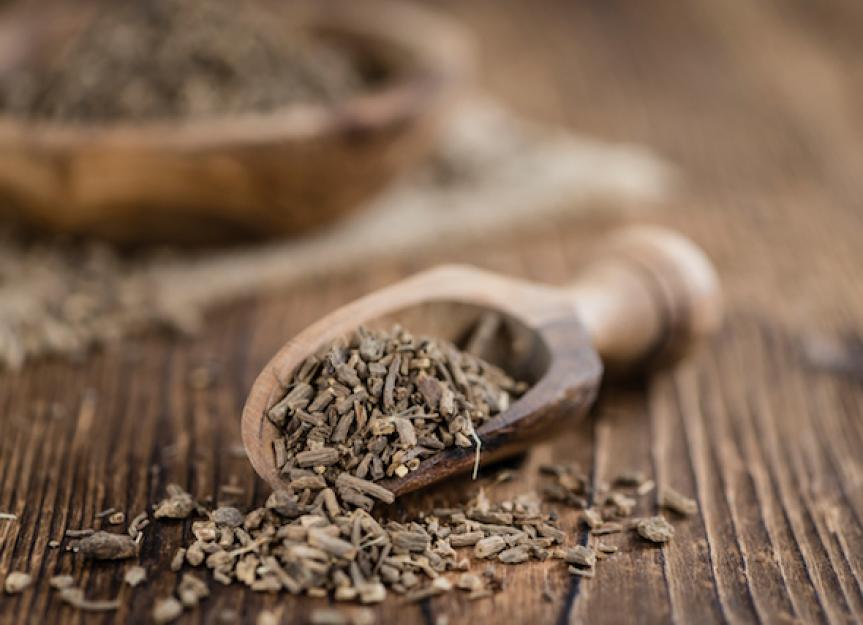 Valerian Root for Dogs: Does It Work?