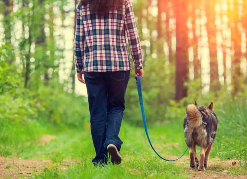 Why Pets Are So Important for People with Mental Illness