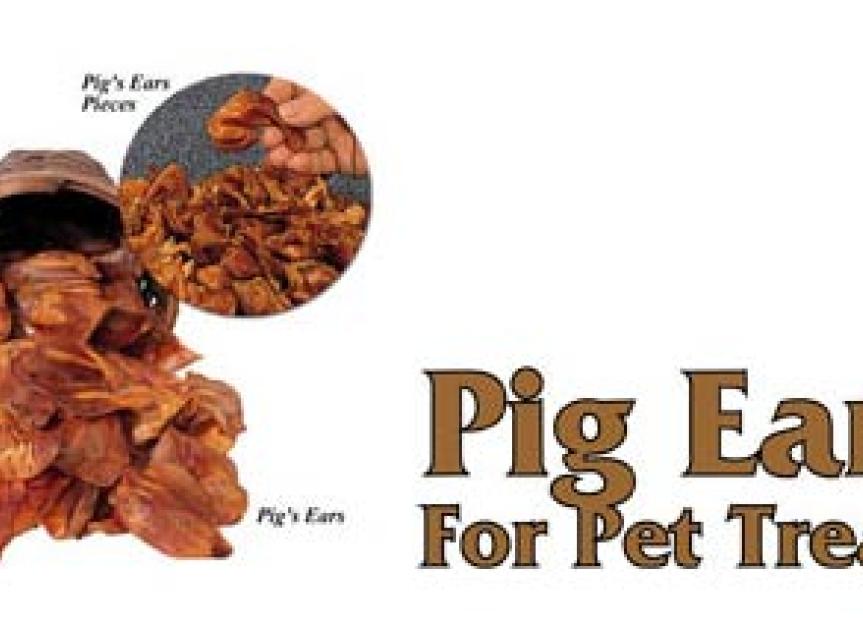 Pig Ears for Pet Treats Recalled Due to Possible Salmonella Risk
